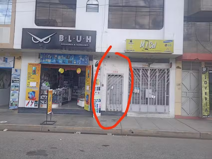 Apolo24.store