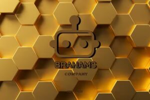 Brahams company