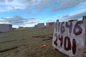 computacion e informatica