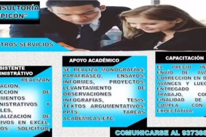 Consultor&iacute;a y apoyo universitario &laquo;Pic&oacute;n&raquo;