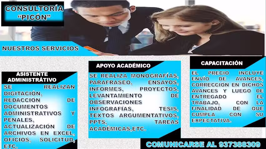 Consultor&iacute;a y apoyo universitario &laquo;Pic&oacute;n&raquo;