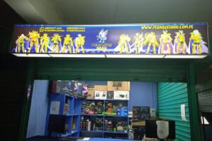 CORPORACION PEGASUS 5000 S.A.C