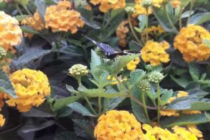 DK & J Dise&ntilde;o y Edicion