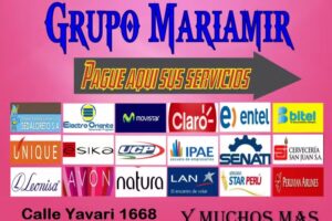 Grupo Mariamir