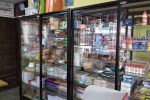 Multi Servicios Nueva Tecnología