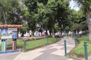 Municipalidad Provincial de Concepción