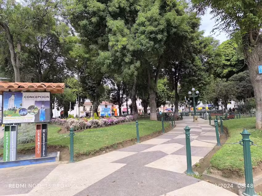 Municipalidad Provincial de Concepci&oacute;n