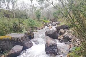 Pichpe, Comas &ndash; Concepci&oacute;n