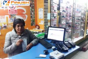 Pinush Soluciones Informáticas