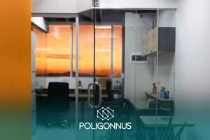 Poligonnus Consulting