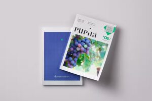 Pupila Agencia Consultora