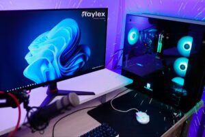 Raylex Integrando Tecnolog&iacute;a