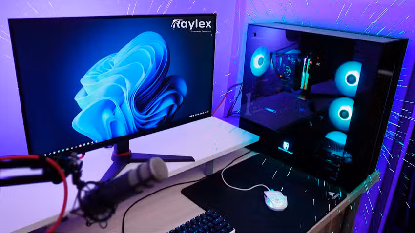 Raylex Integrando Tecnolog&iacute;a