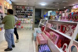 Sayan Importaciones 02