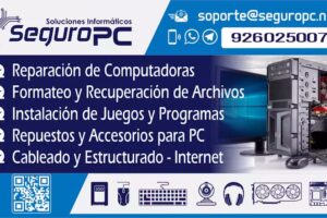 Seguro PC