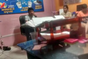 Servicios Informáticos Profesionales PcPichanaki E.I.R.L.