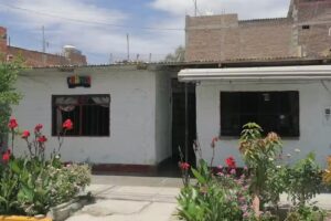 Servicios Tecnol&oacute;gicos CEBRA