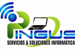 Soluciones & Servicios Informaticos Pingus EIRL