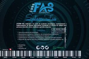 System FAS